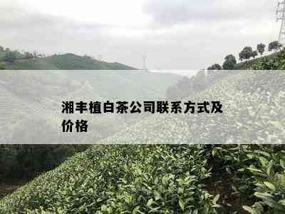 湘丰植白茶公司联系方式及价格