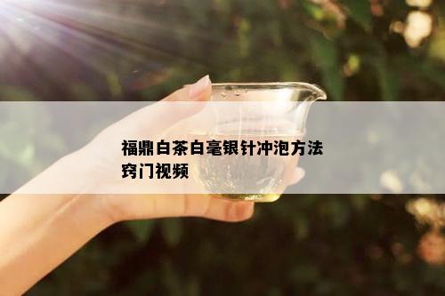 福鼎白茶白毫银针冲泡方法窍门视频