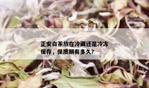 正安白茶放在冷藏还是冷冻保存，保质期有多久？