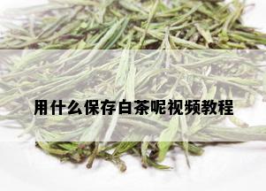 用什么保存白茶呢视频教程