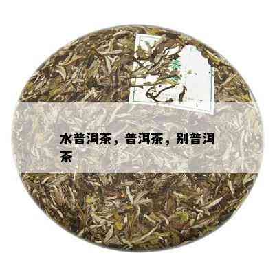 水普洱茶，普洱茶，别普洱茶