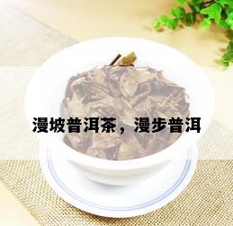 漫坡普洱茶，漫步普洱