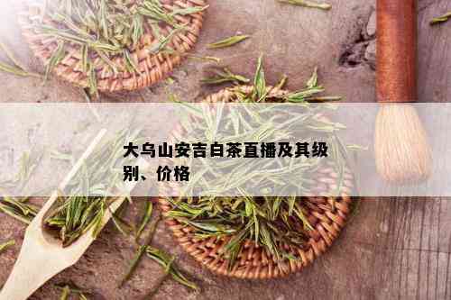 大乌山安吉白茶直播及其级别、价格