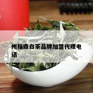 州福鼎白茶品牌加盟代理电话