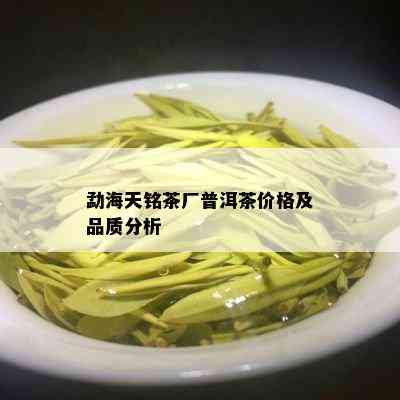 勐海天铭茶厂普洱茶价格及品质分析