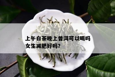 上午白茶晚上普洱可以喝吗女生减肥好吗？