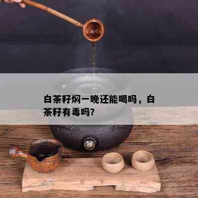 白茶籽焖一晚还能喝吗，白茶籽有吗？