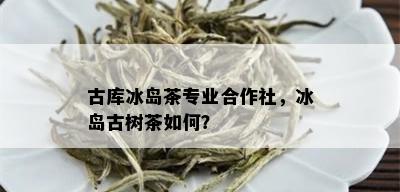 古库冰岛茶专业合作社，冰岛古树茶如何？