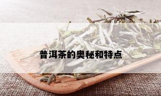 普洱茶的奥秘和特点