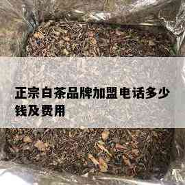 正宗白茶品牌加盟电话多少钱及费用