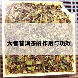 大者普洱茶的作用与功效