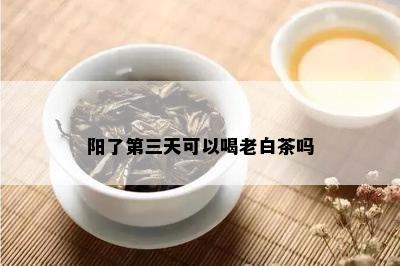 阳了第三天可以喝老白茶吗