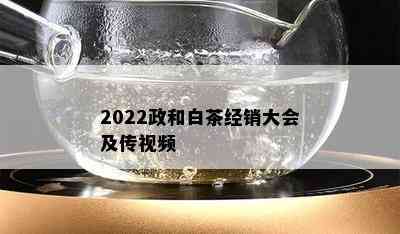 2022政和白茶经销大会及传视频