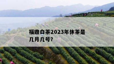 福鼎白茶2023年休茶是几月几号？