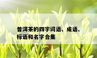 普洱茶的四字词语、成语、标语和名字合集