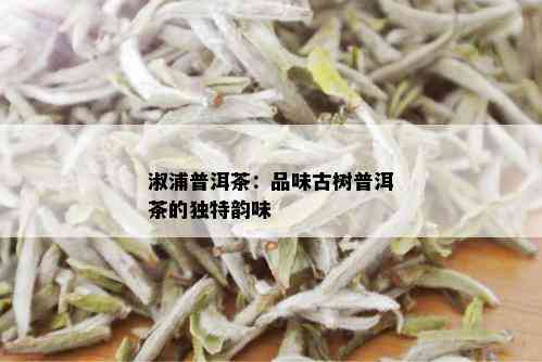 淑浦普洱茶：品味古树普洱茶的独特韵味