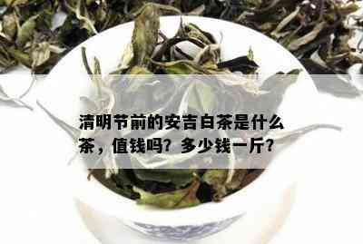 清明节前的安吉白茶是什么茶，值钱吗？多少钱一斤？