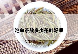 泡白茶放多少茶叶好呢