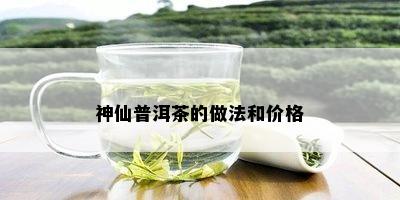 神仙普洱茶的做法和价格