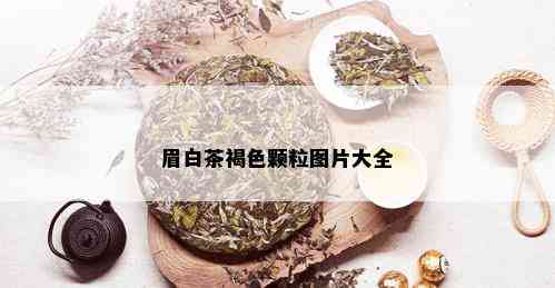 眉白茶褐色颗粒图片大全