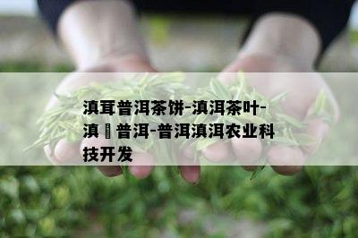 滇茸普洱茶饼-滇洱茶叶-滇垚普洱-普洱滇洱农业科技开发