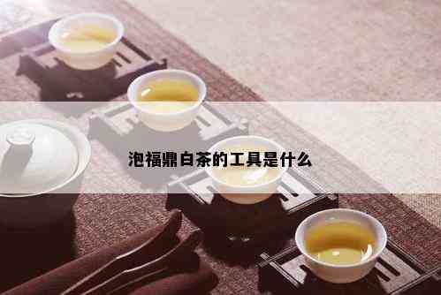 泡福鼎白茶的工具是什么