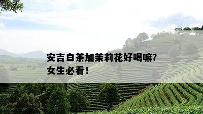 安吉白茶加茉莉花好喝嘛？女生必看！