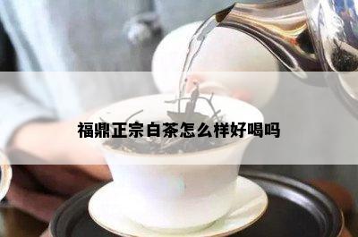 福鼎正宗白茶怎么样好喝吗