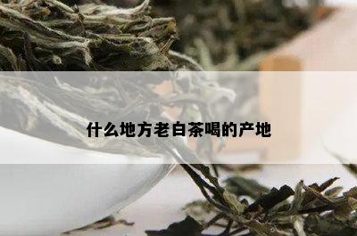 什么地方老白茶喝的产地