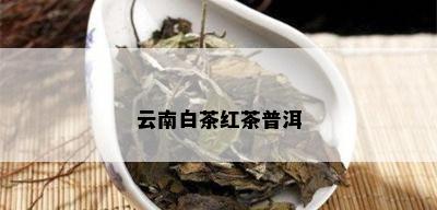 云南白茶红茶普洱