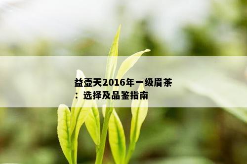 益壶天2016年一级眉茶：选择及品鉴指南