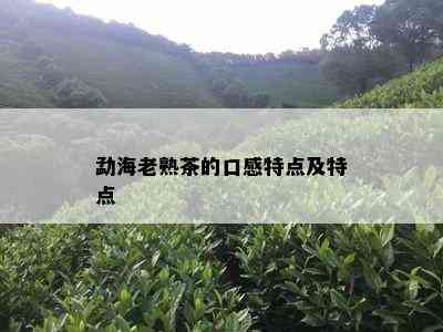 勐海老熟茶的口感特点及特点