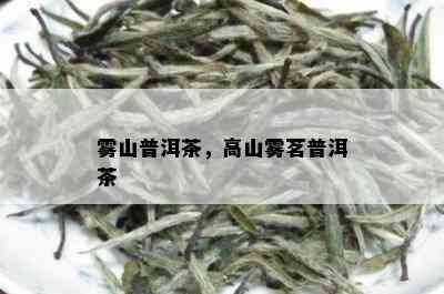 雾山普洱茶，高山雾茗普洱茶