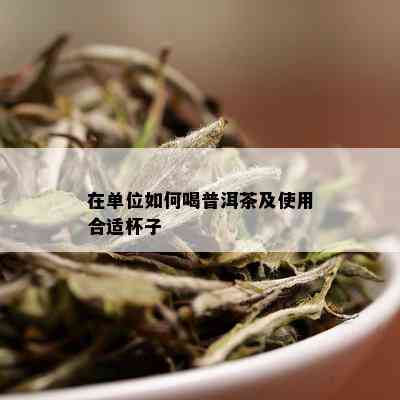 在单位如何喝普洱茶及使用合适杯子