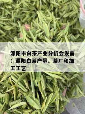 溧阳市白茶产业分析会发言：溧阳白茶产量、茶厂和加工工艺