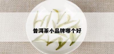 普洱茶小品牌哪个好