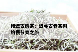 慢遮古树茶：追寻古老茶树的慢节奏之旅