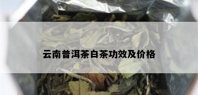 云南普洱茶白茶功效及价格