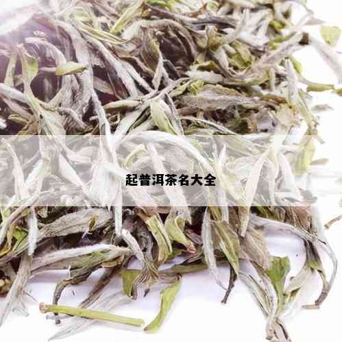 起普洱茶名大全