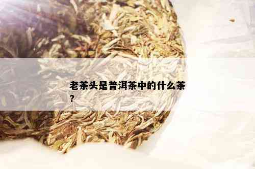 老茶头是普洱茶中的什么茶?