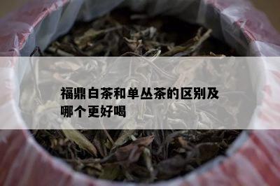 福鼎白茶和单丛茶的区别及哪个更好喝