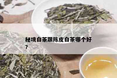 秘境白茶跟陈皮白茶哪个好？