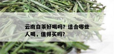 云南白茶好喝吗？适合哪些人喝，值得买吗？