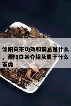 溧阳白茶功效和禁忌是什么，溧阳白茶介绍及属于什么茶类