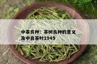 中茶良种：茶树良种的意义及中良茶叶1949