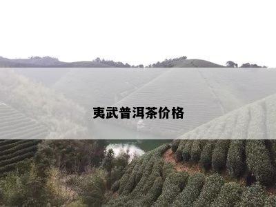 夷武普洱茶价格