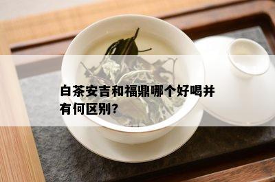 白茶安吉和福鼎哪个好喝并有何区别?