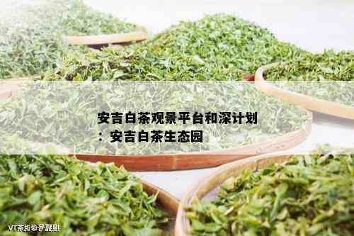 安吉白茶观景平台和深计划：安吉白茶生态园