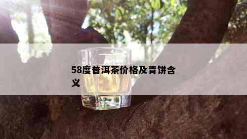 58度普洱茶价格及青饼含义