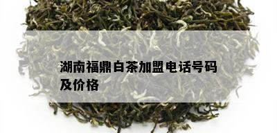 湖南福鼎白茶加盟电话号码及价格